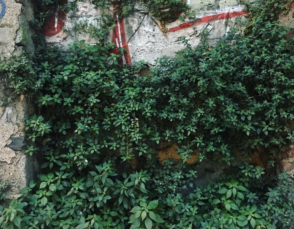 sokak